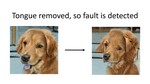 Exposing Previously Undetectable Faults in Deep Neural Networks